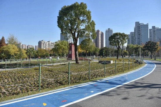 体重管理怎么做？上海春季绿色运动指南请收好196体育网址(图3)