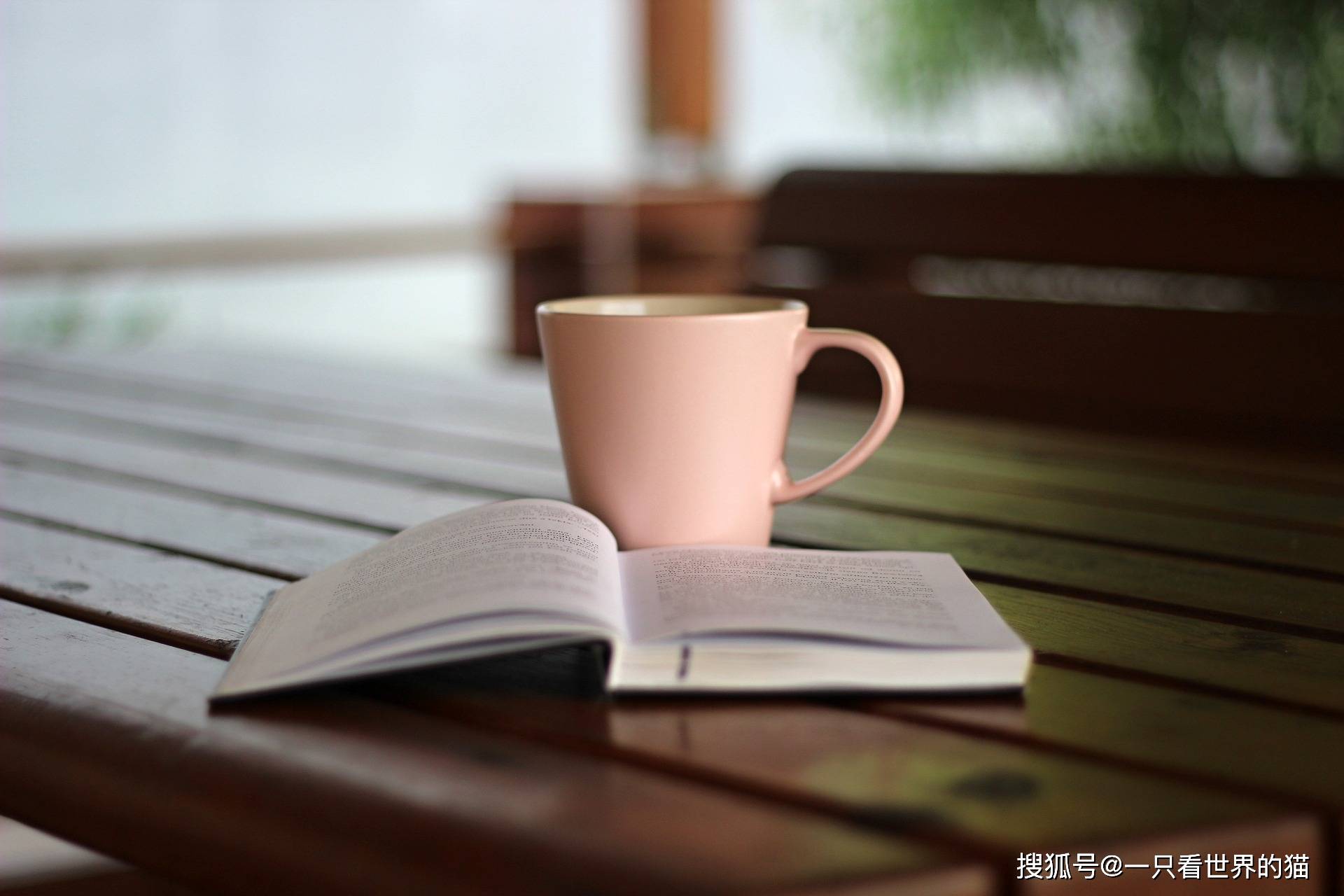 196体育平台休闲体育是学什么的(图3)