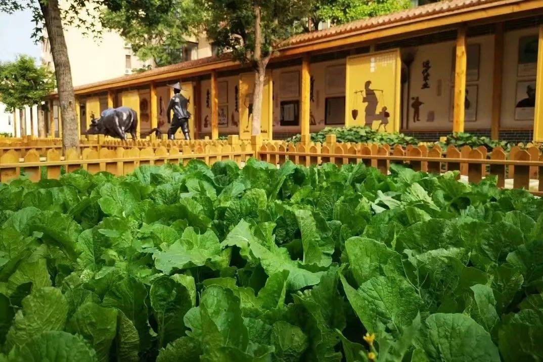 196体育官网春天大脑发展最好的营养剂第一是运动第二个你想不到…(图1)